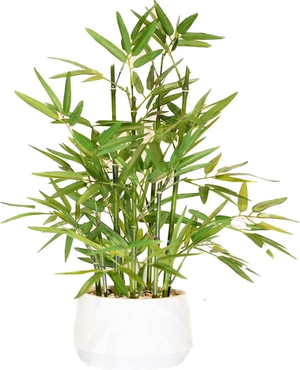 18 inch Tall White Potted Faux Bamboo Plant- Luxury Artificial Bamboo Tree in White Pot for Home, Office, Kitchen, Indoor Decor, Money Tree, Lucky Bamboo Tree. (Canadian Owned!) - Image 5